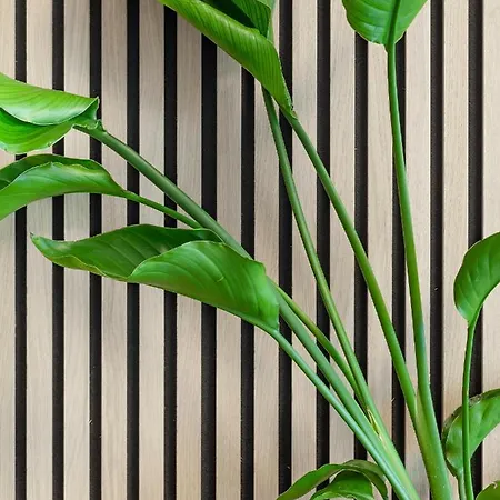 Art Boulevard Διαμέρισμα