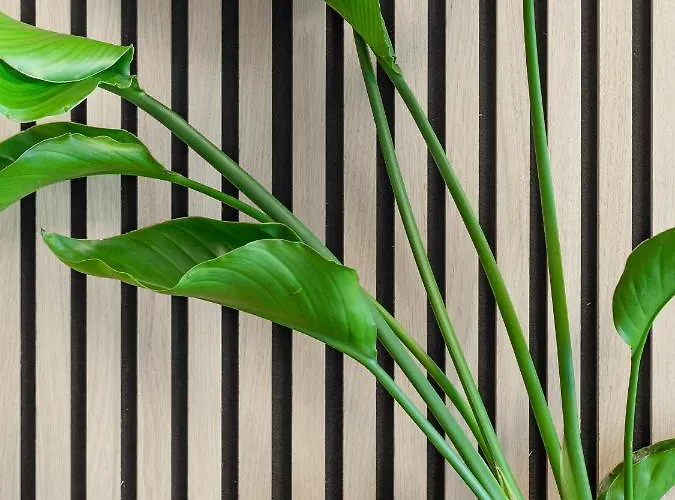 Art Boulevard Apartmán